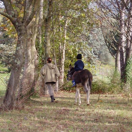 Podere La Piana フィヴィッツァーノ エクステリア 写真