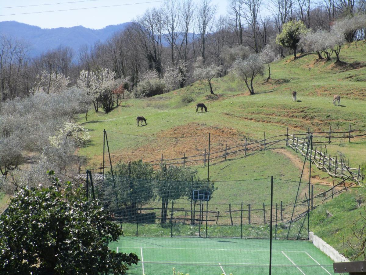 Podere La Piana フィヴィッツァーノ エクステリア 写真
