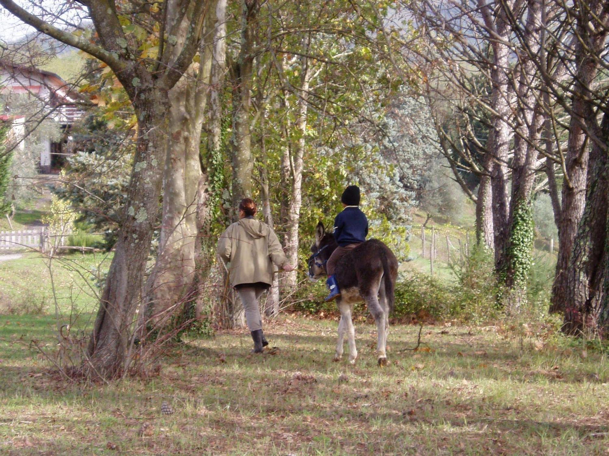 Podere La Piana フィヴィッツァーノ エクステリア 写真