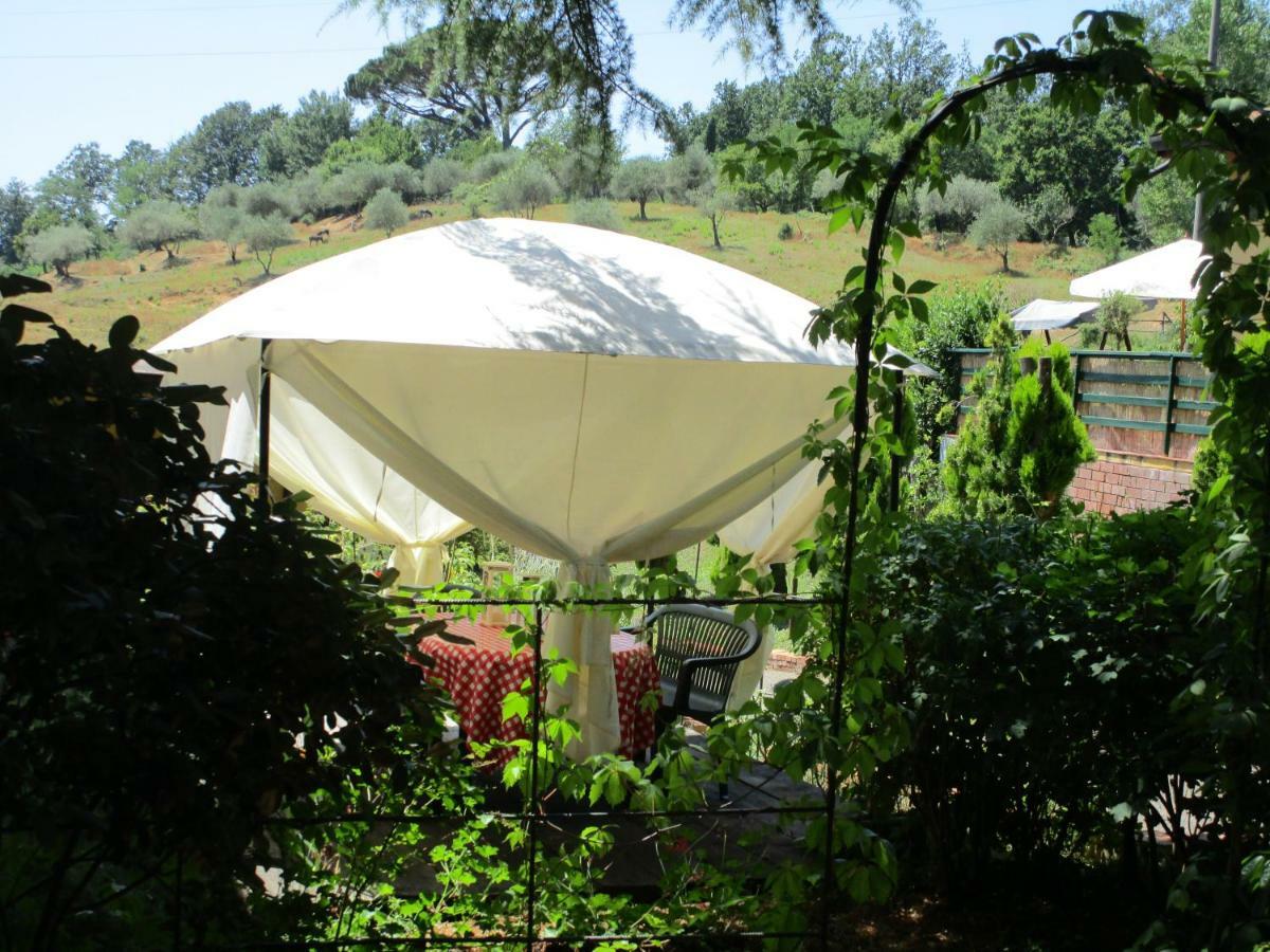 Podere La Piana フィヴィッツァーノ 部屋 写真